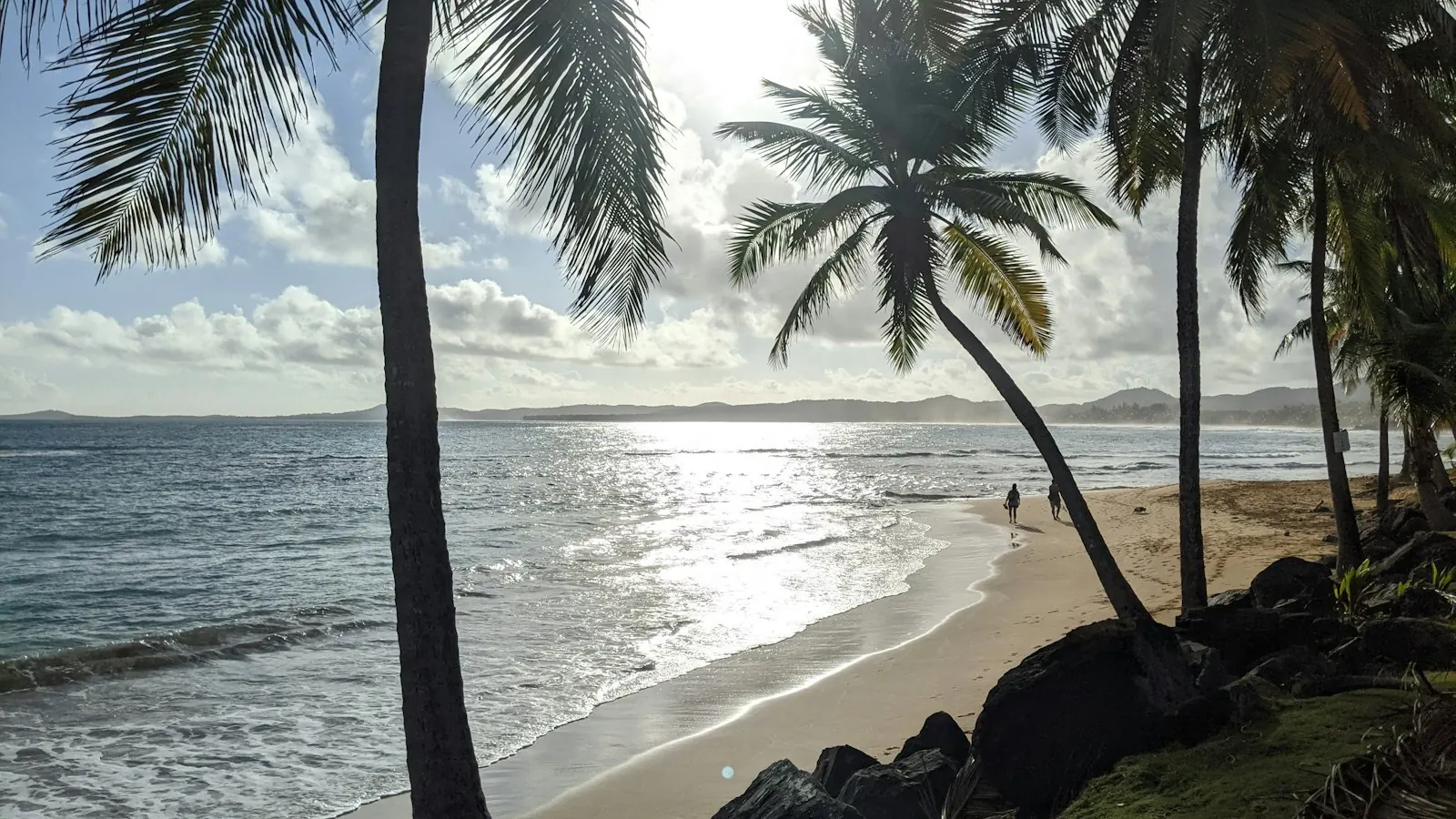 Palm trees on the beach at Luquillo, Puerto Rico